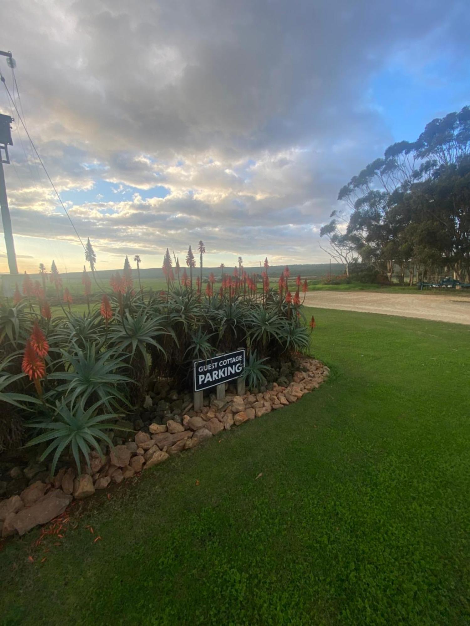 Staandakkie Guest Cottage Bredasdorp Extérieur photo